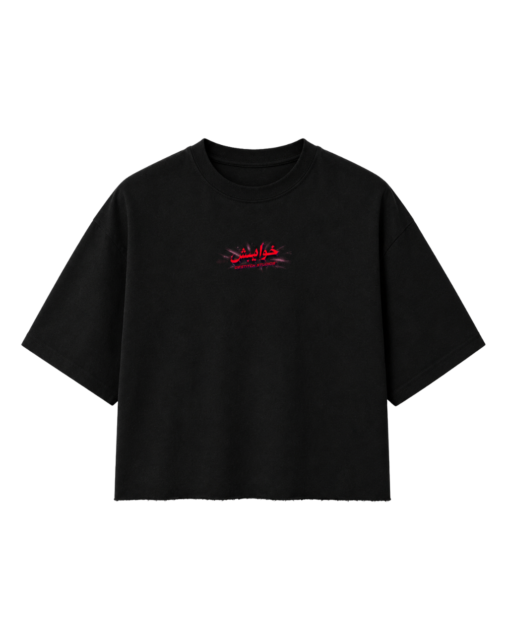 "Hazaaron Khwahishen Aisi" Cropped Tee